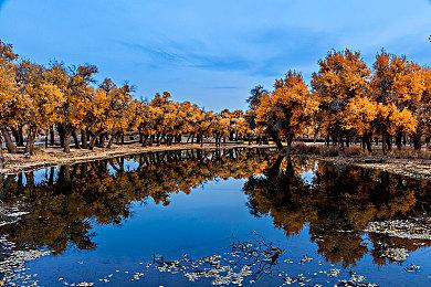 反乌托邦题材动作射击游戏《盲火》现已在Steam平台推出抢先体验版